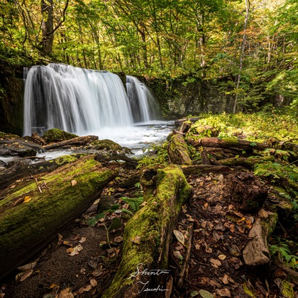 Shintaro Tsushimaが撮影した店舗/オフィス/サロン撮影の写真