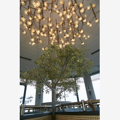 株式会社SANYO-CYP studioUPが撮影した「:albumName」の写真