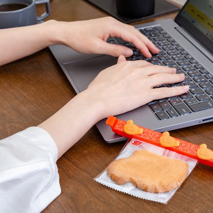 白田光孝が撮影した「:albumName」の写真