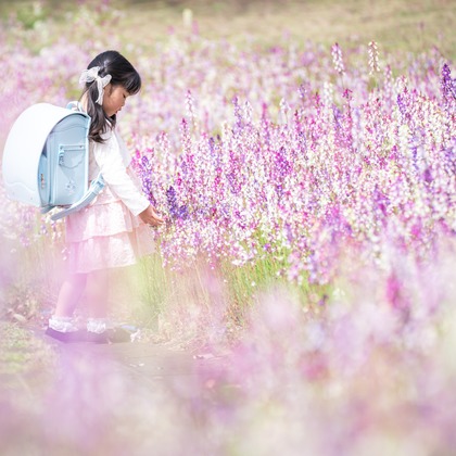 岩水悠が撮影した「:albumName」の写真