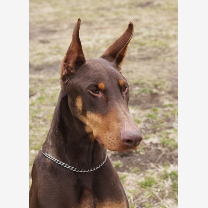 森安　照が撮影した「:albumName」の写真