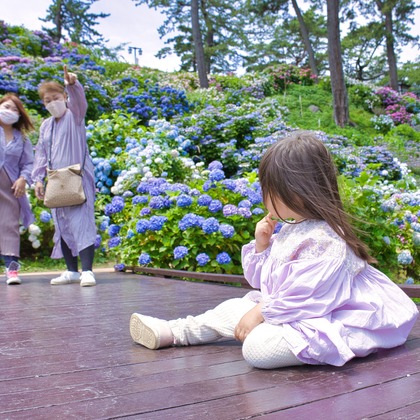 naru2photoが撮影した家族写真の出張撮影の写真