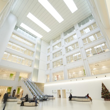 カメラマン　kが撮影した「:albumName」の写真