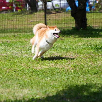インスタントソイ合同会社　井上泰徳が撮影したウェディングや家族、ビジネスの写真
