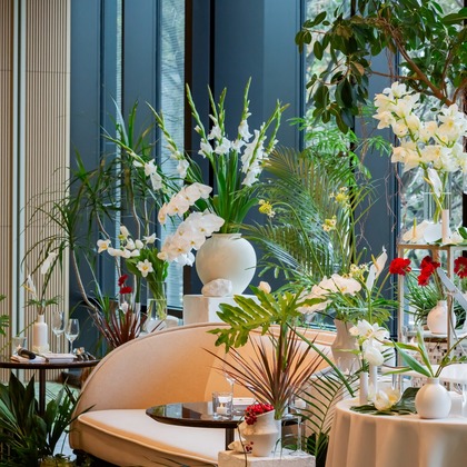 大橋　道裕が撮影した「:albumName」の写真