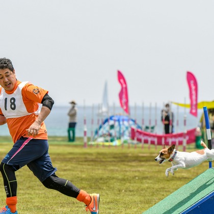 スタジオファンタスが撮影した「:albumName」の写真