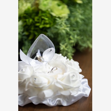 Lightgraphyが撮影したウェディングや家族、ビジネスの写真