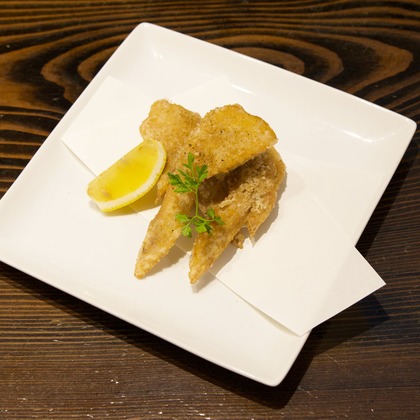 樋上　将太が撮影した「:albumName」の写真