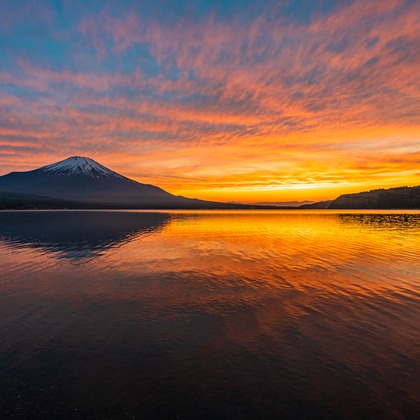 高木勇斗が撮影した「:albumName」の写真