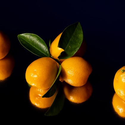 荻原　祐之が撮影した商品/物撮りの写真