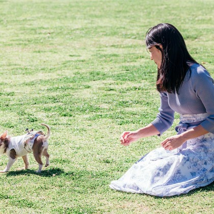 ポートレート沖縄が撮影した「:albumName」の写真