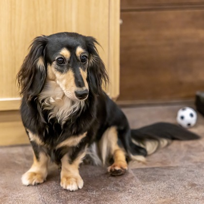 沖山俊樹が撮影した「:albumName」の写真