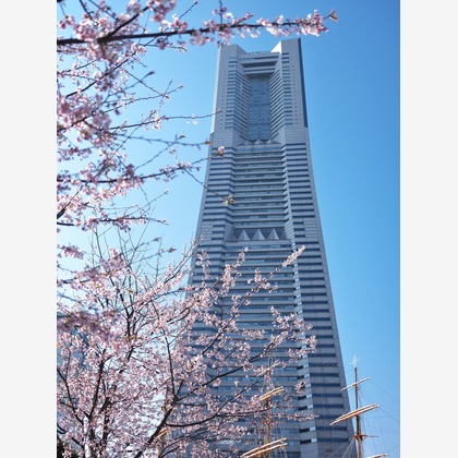 Mid-Village Studioが撮影した「:albumName」の写真