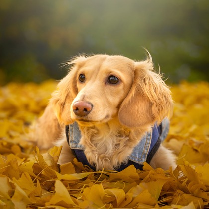 梅田　紫邑が撮影したその他の写真