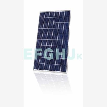 西原毅が撮影した「:albumName」の写真