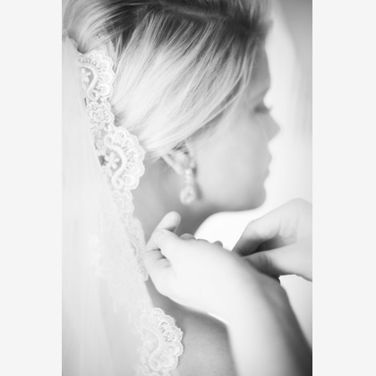 Tanja Metelitsaが撮影した「:albumName」の写真