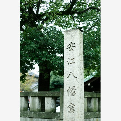 Chihiro Photographyが出張撮影したYasue Hachimangu, 星, 自然の中の人々などが写った「五歳男の子七五三Photo」の家族写真