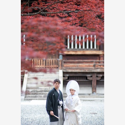 Photo of :albumName taken by THE CLIPS