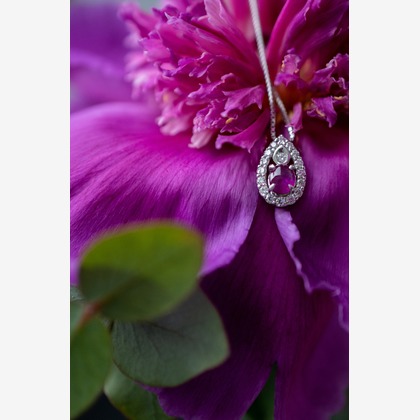 sailが撮影した商品/物撮りの写真