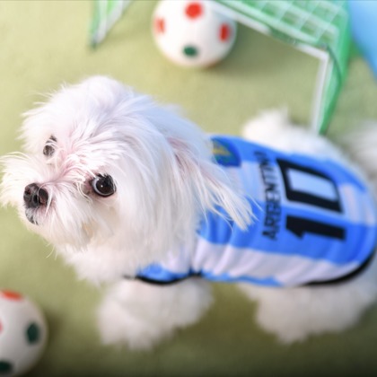 Photo la feliceが撮影した「:albumName」の写真