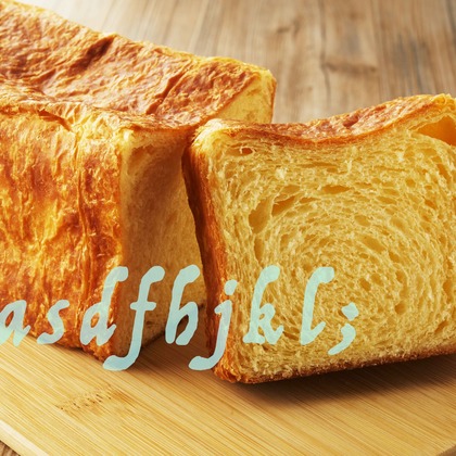 西原毅が撮影した「:albumName」の写真