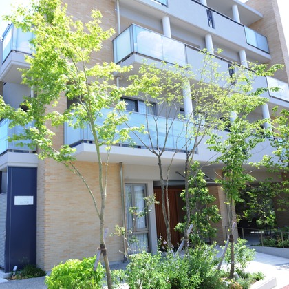 藤尾輝弘/フォトオフィスバドが撮影した「:albumName」の写真