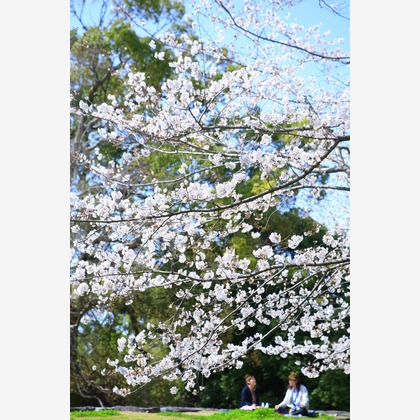 blink photoが撮影したウェディングや家族、ビジネスの写真