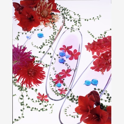 株式会社スタジオカールが撮影した「:albumName」の写真