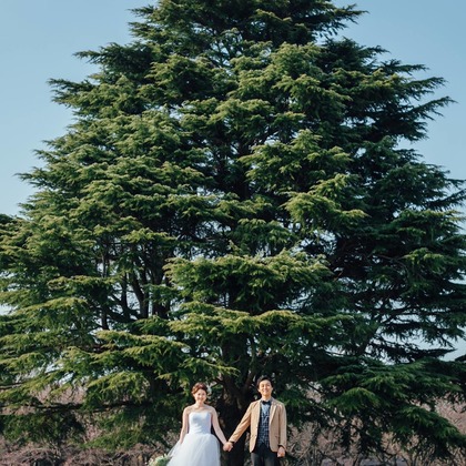 Rocographyが撮影した「:albumName」の写真