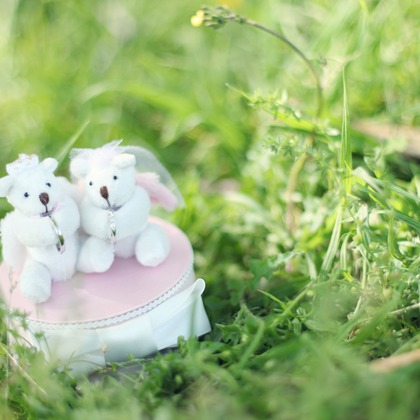 HIROYUKI KUMA PHOTOGRAPHYが撮影した「:albumName」の写真