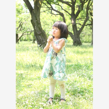 森安　照が撮影したウェディングや家族、ビジネスの写真
