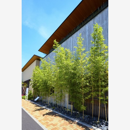 AONO STUDIOが撮影した「:albumName」の写真