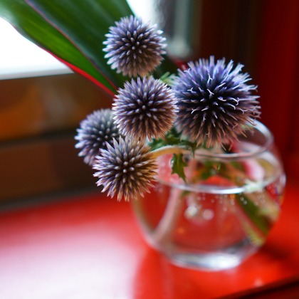 出張撮影のメモリーズが撮影した「:albumName」の写真