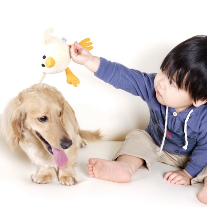 森安　照が撮影した「:albumName」の写真