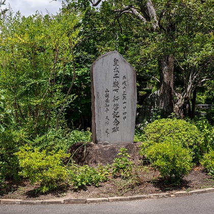 吉田佳央が撮影した「:albumName」の写真