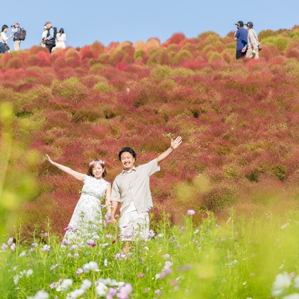 パッチー・クリエイツが撮影した「:albumName」の写真