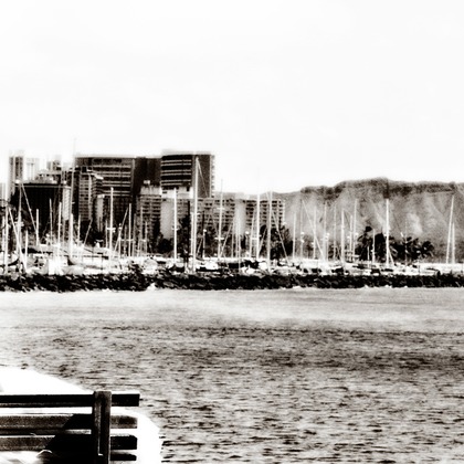 éclat photographyが撮影したウェディングや家族、ビジネスの写真