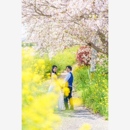 Location Photo Shoot Photos taken by Studio&Gallery Analog　SAEKI PHOTOSTUDIO