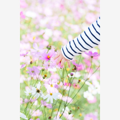 lino-'akaが撮影した「:albumName」の写真