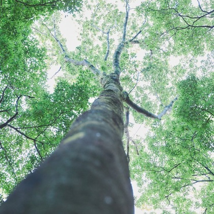 Shun Kanazawaが撮影した「:albumName」の写真