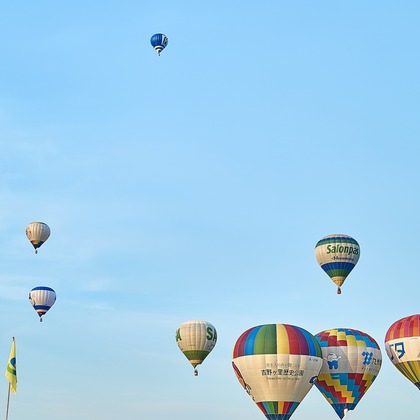 津田野 瑞希が撮影した「:albumName」の写真