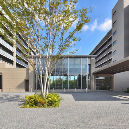 スタジオエゴイストが撮影したウェディングや家族、ビジネスの写真