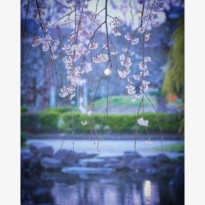 長崎 翔太が撮影したその他の写真