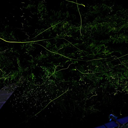 ms photoが撮影した「:albumName」の写真