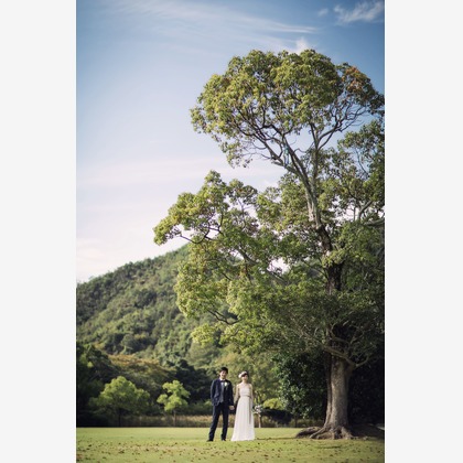 elle pupaが撮影した「:albumName」の写真