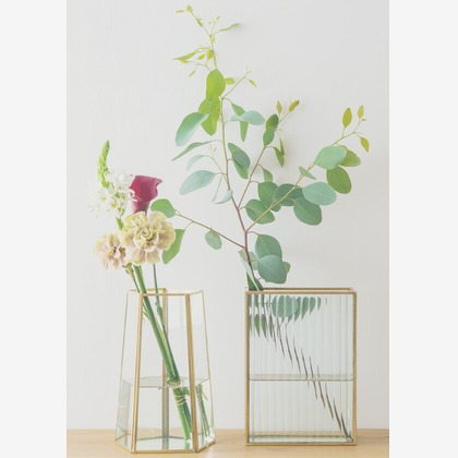 Yoppegraphy Photographic Serviceが撮影した「:albumName」の写真