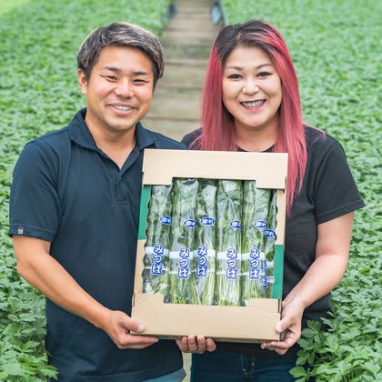 早川麗華が撮影した「:albumName」の写真