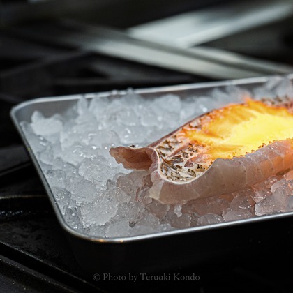 近藤 輝明が撮影した店舗/オフィス/サロン撮影/料理撮影の写真