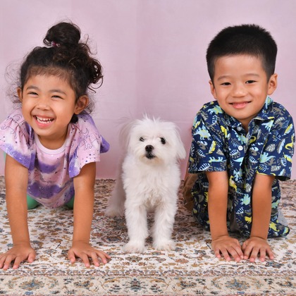 Photo la feliceが撮影した「:albumName」の写真