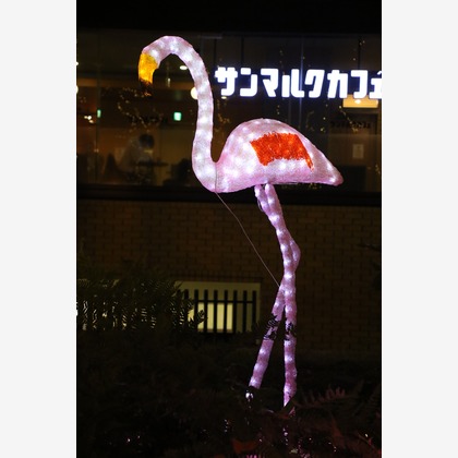 ＮＫ フォトエージェンシーが撮影したその他の写真